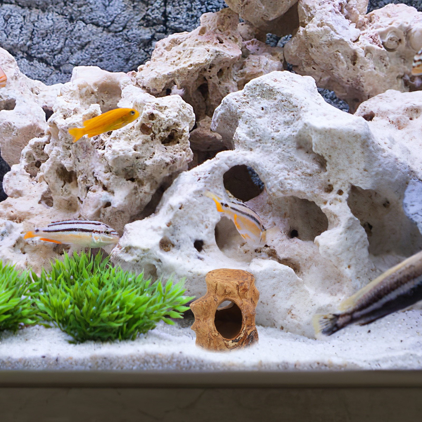 Premium Ceramic Aquarium Hideo - Hide Cave Ceramic review and price