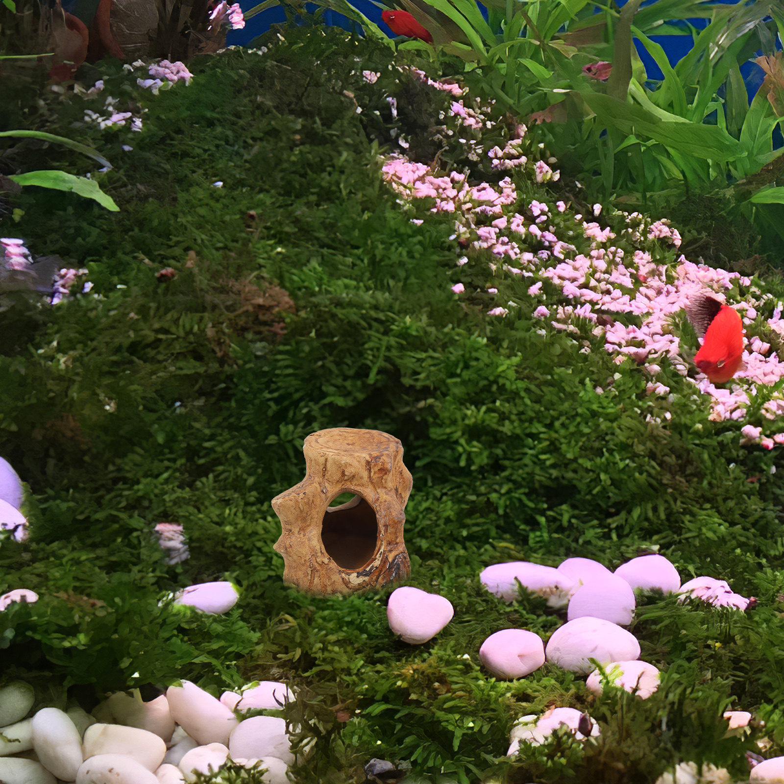 Premium Ceramic Aquarium Hideo - Hide Cave Ceramic review and price