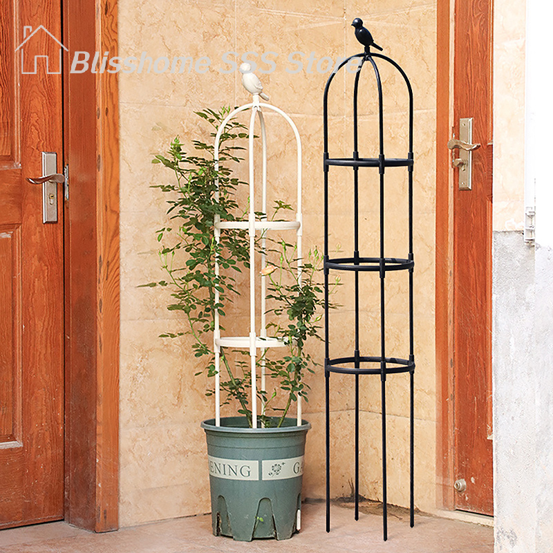 【S】1Set Climbing Plant Trellis - Vine Climbing Plastic review and price