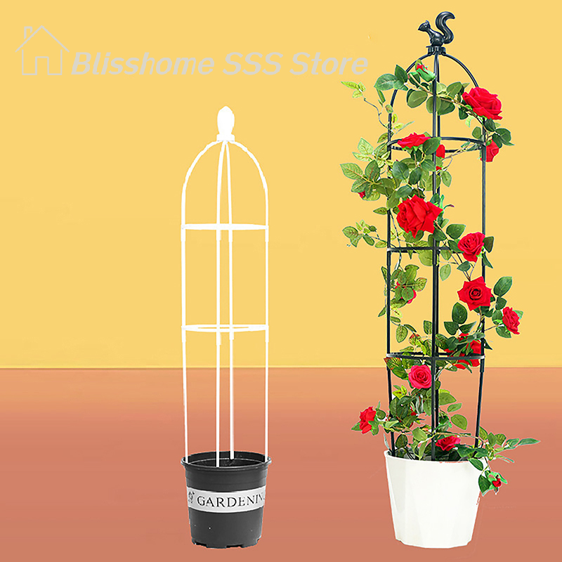 【S】1Set Climbing Plant Trellis - Vine Climbing Plastic review and price