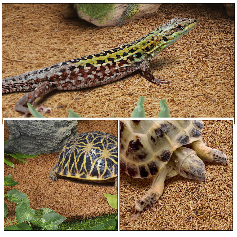 Reptile Terrarium Carpet Natur - Substrate Coconut Fiber review and price